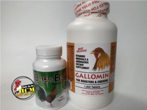 Bộ Đôi Thuốc Nuôi Gà Đá B15&B12 (100viên) Và GALLOMIN (1000viên) Giàu Vitamin Giúp Gà Mau Lên Nước Máu, Phản Xạ Nhanh Nhẹn Kết Hợp Đòn Mạnh