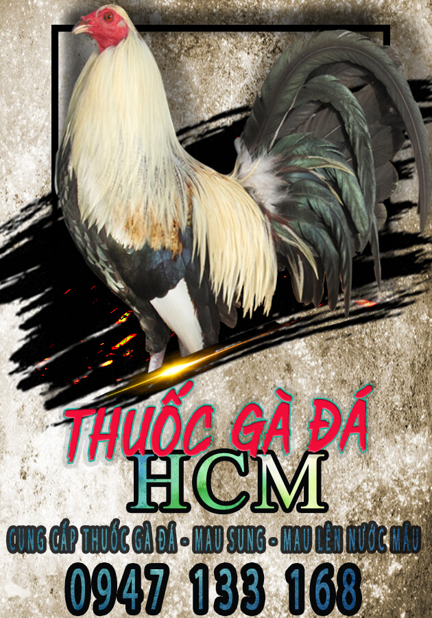 poster_hcm