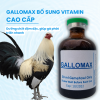 thuoc-gallomax-bo-sung-vitamin-cao-cap-cho-gia-cam-10ml - ảnh nhỏ  1