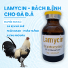 thuoc-tri-benh-lamycin-cho-gia-suc-va-gia-cam-20ml - ảnh nhỏ  1