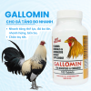 gallomin-thuoc-nuoi-ga-da-nhap-khau-truc-tiep-tu-my-hop-100-vien - ảnh nhỏ  1