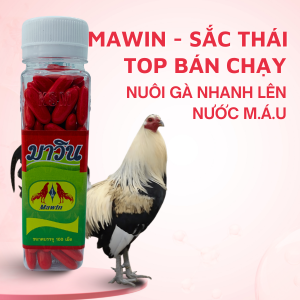 Thuốc Gà Đá Thái Lan MaWin " Sắc Thái, Bổ Máu" Cung Cấp Vitamin Bổ Máu Giúp Gà Đá (3 Hộp 300 Viên)