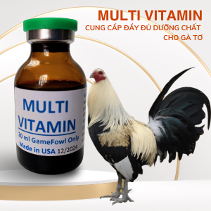 Thuốc Nuôi Gà Đá MultiVitamin Bổ Sung Nhiều Thành Phần Vitamin Phứt Hợp, Gà Mau Sung, Mau Lên Nước Máu - 1 Chai 50ml