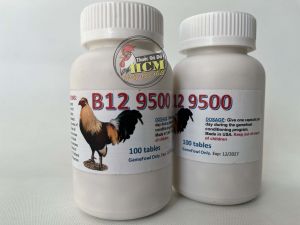 Thuốc Nuôi Gà Đá NANO - 100v - Nuôi Nhanh Tăng Cơ Bo Lớn