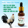 diclacoc-khac-tinh-cau-trung - ảnh nhỏ  1