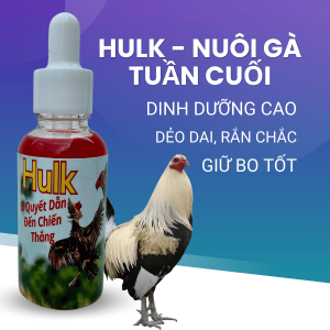 Thuốc Nuôi Gà Đá Hulk Hỗ Trợ Gà Mau Đạt Phong Độ, Bo Lớn, Ra Chân Chuẩn