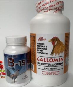 Bộ 2 Thuốc Nuôi Gà Đá B15 (100viên) Và GALLOMIN (1000viên) Giàu Vitamin Gà Tăng Bo Dễ Dàng chính hãng - Thuốc Gà Đá HCM