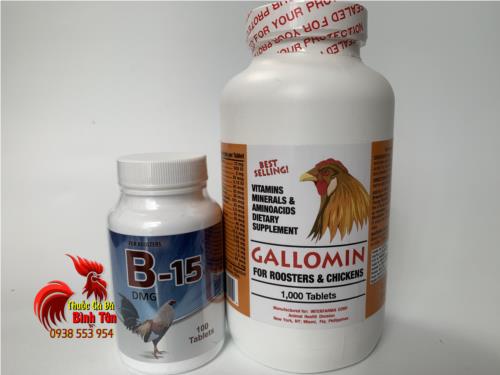Bo-2-Thuoc-Nuoi-Ga-Da-B15-100vien-Va-GALLOMIN-1000vien-Giau-Vitamin-Ga-Tang-Bo-De-Dang Bộ 2 Thuốc Nuôi Gà Đá B15 (100viên) Và GALLOMIN (1000viên) Giàu Vitamin Gà Tăng Bo Dễ Dàng chính hãng - Thuốc Gà Đá HCM