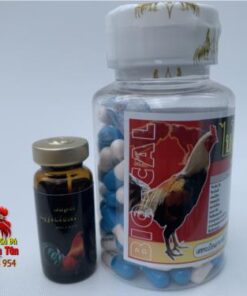 Bộ Đôi Kết Hợp Thuốc Nuôi Gà Đá B12 7500 ( 10ml) Và Bio-Cal (100viên) Cung Cấp Vitamin, Bổ Gân Gối chính hãng - Thuốc Gà Đá HCM