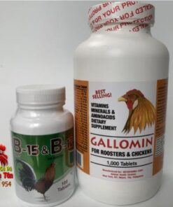 Bộ Đôi Thuốc Nuôi Gà Đá B15&B12 (100viên) Và GALLOMIN (1000viên) Giàu Vitamin Giúp Gà Mau Lên Nước Máu, Phản Xạ Nhanh Nhẹn Kết Hợp Đòn Mạnh chính hãng - Thuốc Gà Đá HCM
