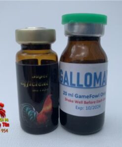 Bộ Thuốc Nuôi Gà Đá B12 7500 ( 10ml) Và GALLOMAX (20ml) Bổ Sung Vitamin Gà Chống Mệt Mỏi Hiệu Quả chính hãng - Thuốc Gà Đá HCM