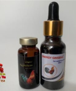 Combo 2 Chai Thuốc Nuôi Gà Đá Cung Cấp Dinh Dưỡng Nạp Pin, Tăng Bo Tốt Cho Gà B12 7500 (10ml) Và GINSENG (20ml) chính hãng - Thuốc Gà Đá HCM