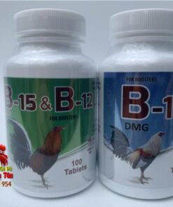 Cung Cấp Vitamin B15 Nhờ Bộ Đôi Thuốc Nuôi Gà Đá B15&B12 (100viên) Và B15 (100viên) Gà Nhanh Nhẹn, Đòn Chắc, Tăng Bo chính hãng - Thuốc Gà Đá HCM