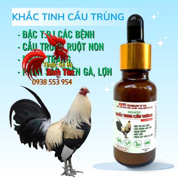Diclacoc-Khac-Tinh-Cau-Trung-giai-phap-dac-tri-hieu-qua-benh-cau-trung-Cho-Ga-Da Diclacoc - Khắc Tinh Cầu Trùng giải pháp đặc trị hiệu quả bệnh cầu trùng Cho Gà Đá chính hãng - Thuốc Gà Đá HCM