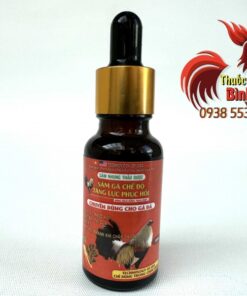 Sâm Nhung Thảo Dược - Tăng Lực Phục Hồi Cho Gà Đá chính hãng - Thuốc Gà Đá HCM