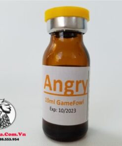 Thuốc Gà Đá ANGRY Là Loại Thuốc Có Tính Chất Kích Thích Mạnh, Hăng Máu, Tăng Tốc Độ - Chai 10ml chính hãng - Thuốc Gà Đá HCM