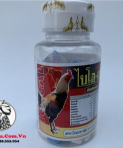 Thuốc Gà Đá BiO-Cal Hỗ Trợ Chiến Kê Tăng Cường Canxi Giúp Chắc Xương, Dẻo Dai Tốt - 1 Hộp 100 Viên chính hãng - Thuốc Gà Đá HCM