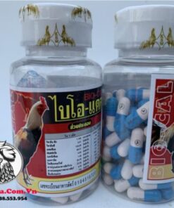 Thuốc Gà Đá BiO-Cal Hỗ Trợ Chiến Kê Tăng Cường Canxi Giúp Chắc Xương, Dẻo Dai Tốt - 2 Hộp 200 Viên chính hãng - Thuốc Gà Đá HCM