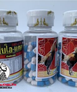 Thuốc Gà Đá BiO-Cal Hỗ Trợ Chiến Kê Tăng Cường Canxi Giúp Chắc Xương, Dẻo Dai Tốt - 3 Hộp 300 Viên chính hãng - Thuốc Gà Đá HCM