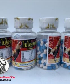 Thuốc Gà Đá BiO-Cal Hỗ Trợ Chiến Kê Tăng Cường Canxi Giúp Chắc Xương, Dẻo Dai Tốt - 4 Hộp 400 Viên chính hãng - Thuốc Gà Đá HCM