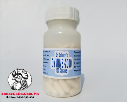 Thuoc-Ga-Da-DYMINE-2000-Cua-My-Cung-Cap-Nang-Luong-Manh-Me-Cho-Co-Bap-Hu-10-Vien Thuốc Gà Đá DYMINE 2000 Của Mỹ Cung Cấp Năng Lượng Mạnh Mẽ Cho Cơ Bắp - Hủ 10 Viên chính hãng - Thuốc Gà Đá HCM