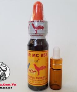 Thuốc Gà Đá POWER MC 858 - LAMPAM Của Thái Lan Tốt Cho Chiến Kê - Chai 10ml chính hãng - Thuốc Gà Đá HCM