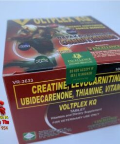 Thuốc Gà Đá Voltplex KQ, Thuốc Tăng Lực Dạng Viên Xây Dựng Cơ Bắp Hiệu Quả - Hộp 10 Vỉ ( 1 vĩ x 10 viên ) chính hãng - Thuốc Gà Đá HCM