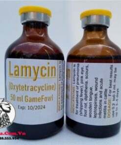 Thuốc LAMYCIN Đặc Trị Bệnh Do Vi Khuẩn Có Hại Gây Ra - Lọ 50ml chính hãng - Thuốc Gà Đá HCM