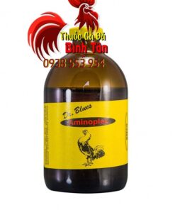 Thuốc Nuôi Gà Đá AMINOPLEX Nhân Đôi Dưỡng Chất Giúp Tăng Bo, Nạp Pin Khủng chính hãng - Thuốc Gà Đá HCM