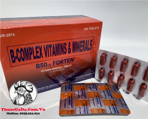 Thuoc-Nuoi-Ga-Da-B-Complex-B502-FORTEN-Cung-Cap-Hon-Hop-Cac-Vitamin-Va-Khoang-Chat-2-Vi-x-10-Vien Thuốc Nuôi Gà Đá B-Complex B50/2 FORTEN Cung Cấp Hổn Hợp Các Vitamin Và Khoáng Chất - 2 Vỉ x 10 Viên chính hãng - Thuốc Gà Đá HCM