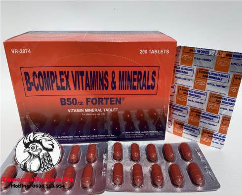 Thuoc-Nuoi-Ga-Da-B-Complex-B502-FORTEN-Cung-Cap-Hon-Hop-Cac-Vitamin-Va-Khoang-Chat-3-Vi-x-10-Vien Thuốc Nuôi Gà Đá B-Complex B50/2 FORTEN Cung Cấp Hổn Hợp Các Vitamin Và Khoáng Chất - 3 Vỉ x 10 Viên chính hãng - Thuốc Gà Đá HCM