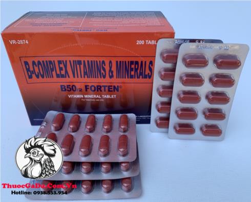 Thuoc-Nuoi-Ga-Da-B-Complex-B502-FORTEN-Cung-Cap-Hon-Hop-Cac-Vitamin-Va-Khoang-Chat-5-Vi-x-10-Vien Thuốc Nuôi Gà Đá B-Complex B50/2 FORTEN Cung Cấp Hổn Hợp Các Vitamin Và Khoáng Chất - 5 Vỉ x 10 Viên chính hãng - Thuốc Gà Đá HCM