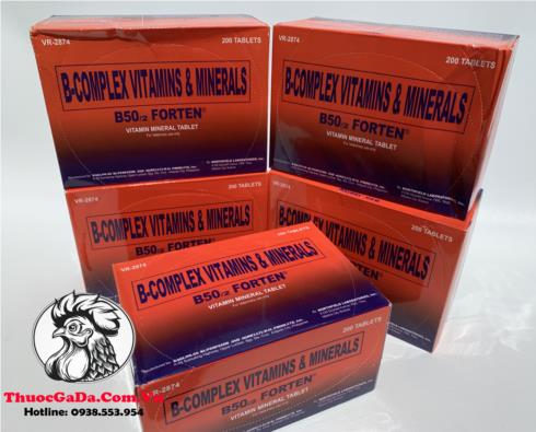 Thuoc-Nuoi-Ga-Da-B-Complex-B502-FORTEN-Cung-Cap-Hon-Hop-Cac-Vitamin-Va-Khoang-Chat-20-Vi-x-10-Vien Thuốc Nuôi Gà Đá B-Complex B50/2 FORTEN Cung Cấp Hổn Hợp Các Vitamin Và Khoáng Chất - 20 Vỉ x 10 Viên chính hãng - Thuốc Gà Đá HCM