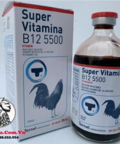 Thuốc Nuôi Gà Đá B12 5500 Của Mexico Bổ Sung Dưỡng Chất Cần Thiết Cho Chiến Kê - Chai 10ml chính hãng - Thuốc Gà Đá HCM