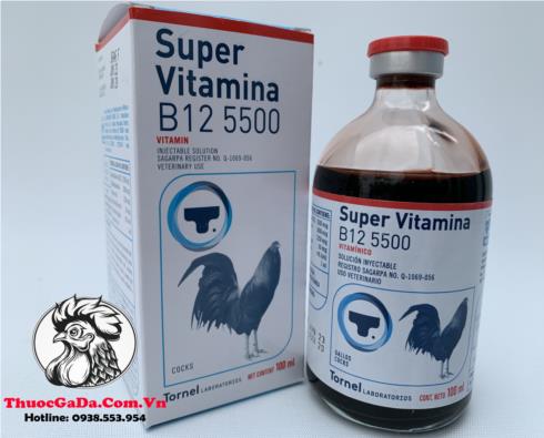 Thuoc-Nuoi-Ga-Da-B12-5500-Cua-Mexico-Bo-Sung-Duong-Chat-Can-Thiet-Cho-Chien-Ke-Chai-10ml Thuốc Nuôi Gà Đá B12 5500 Của Mexico Bổ Sung Dưỡng Chất Cần Thiết Cho Chiến Kê - Chai 10ml chính hãng - Thuốc Gà Đá HCM