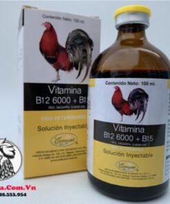 Thuốc Nuôi Gà Đá B12 6000 + B15 Cung Cấp Các Vitamin Và Protein Tạo Năng Lượng, Bổ Sung Dinh Dưỡng - Chai 10ml chính hãng - Thuốc Gà Đá HCM