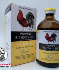 Thuốc Nuôi Gà Đá B12 6000 + B15 Cung Cấp Các Vitamin Và Protein Tạo Năng Lượng, Bổ Sung Dinh Dưỡng - Chai 20ml chính hãng - Thuốc Gà Đá HCM