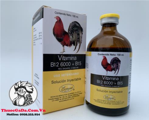 Thuoc-Nuoi-Ga-Da-B12-6000-B15-Cung-Cap-Cac-Vitamin-Va-Protein-Tao-Nang-Luong-Bo-Sung-Dinh-Duong-Chai-20ml Thuốc Nuôi Gà Đá B12 6000 + B15 Cung Cấp Các Vitamin Và Protein Tạo Năng Lượng, Bổ Sung Dinh Dưỡng - Chai 20ml chính hãng - Thuốc Gà Đá HCM