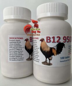 Thuốc Nuôi Gà Đá B12 9500 - Gà Đỏ Hừng, Ăn Nhiều, Mau Sung (100 Viên) chính hãng - Thuốc Gà Đá HCM