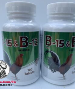 Thuốc Nuôi Gà Đá B15 & B12 Hỗ Trợ Tăng Bo, Nước Máu - Hủ 20 Viên chính hãng - Thuốc Gà Đá HCM