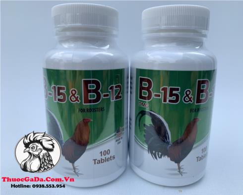 Thuoc-Nuoi-Ga-Da-B15-B12-Ho-Tro-Tang-Bo-Nuoc-Mau-Hu-20-Vien Thuốc Nuôi Gà Đá B15 & B12 Hỗ Trợ Tăng Bo, Nước Máu - Hủ 20 Viên chính hãng - Thuốc Gà Đá HCM