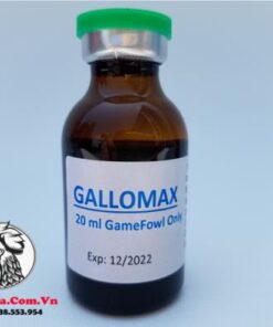 Thuốc Nuôi Gà Đá Gallomax Bổ Sung Vitamin Cung Cấp Năng Lượng Hiệu Quả Nhất Thị Trường Đến Từ Mexico - Chai 5ml chính hãng - Thuốc Gà Đá HCM