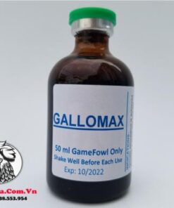 Thuốc Nuôi Gà Đá Gallomax Bổ Sung Vitamin Cung Cấp Năng Lượng Hiệu Quả Nhất Thị Trường Đến Từ Mexico - Chai 50ml chính hãng - Thuốc Gà Đá HCM