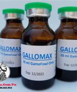 Thuốc Nuôi Gà Đá Gallomax Bổ Sung Vitamin Cung Cấp Năng Lượng Hiệu Quả Nhất Thị Trường Đến Từ Mexico - Chai 100ml chính hãng - Thuốc Gà Đá HCM