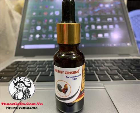 Thuoc-Nuoi-Ga-Da-GINSENG-Cua-My-Ho-Tro-Tang-Nuoc-Mau-Nap-Pin-Tang-Bo-Sieu-Khung-Chai-20ml Thuốc Nuôi Gà Đá GINSENG Của Mỹ Hỗ Trợ Tăng Nước Máu, Nạp Pin, Tăng Bo Siêu Khủng - Chai 20ml chính hãng - Thuốc Gà Đá HCM