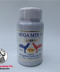 Thuốc Nuôi Gà Đá LAMPAM MEGA MTR 55 Của Thái Lan Bổ Sung Protein, Các Chất Dinh Dưỡng Tốt - 1 Hủ 100 Viên chính hãng - Thuốc Gà Đá HCM