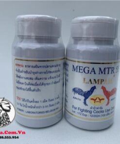 Thuốc Nuôi Gà Đá LAMPAM MEGA MTR 55 Của Thái Lan Bổ Sung Protein, Các Chất Dinh Dưỡng Tốt - 2 Hủ 200 Viên chính hãng - Thuốc Gà Đá HCM