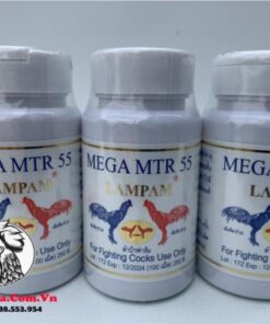 Thuốc Nuôi Gà Đá LAMPAM MEGA MTR 55 Của Thái Lan Bổ Sung Protein, Các Chất Dinh Dưỡng Tốt - 3 Hủ 300 Viên chính hãng - Thuốc Gà Đá HCM