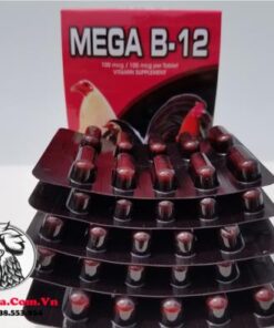 Thuốc Nuôi Gà Đá MEGA B12 Tăng Nước Máu Giúp Chiến Kê Sung Mãn, Mau Tới Đá - 5 Vỉ x 10 Viên chính hãng - Thuốc Gà Đá HCM