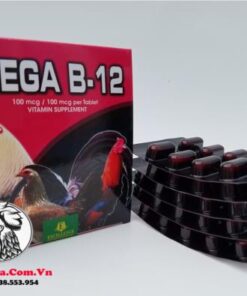 Thuốc Nuôi Gà Đá MEGA B12 Tăng Nước Máu Giúp Chiến Kê Sung Mãn, Mau Tới Đá - Hộp 100 Viên chính hãng - Thuốc Gà Đá HCM